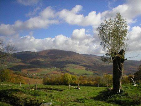 La Begude D'Amalthee Villa Vernay Kültér fotó