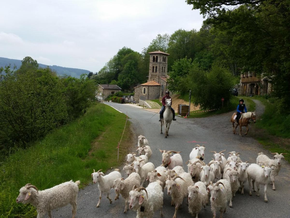 La Begude D'Amalthee Villa Vernay Kültér fotó
